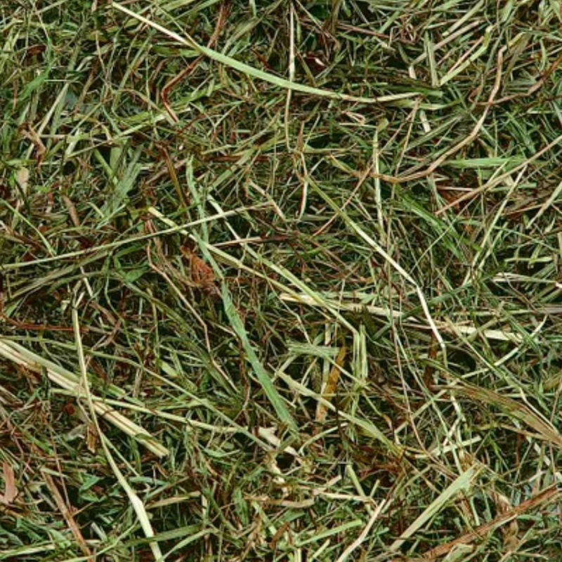 Планинско сено за зайци Flamingo Mountain hay Mint с мента 0.500 кг.