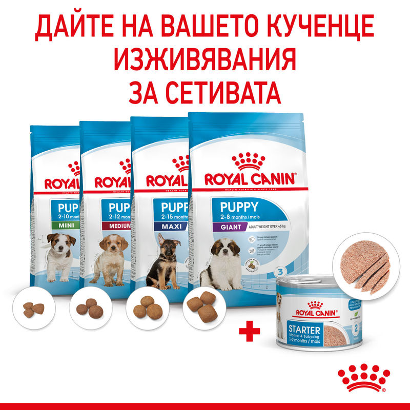 ROYAL CANIN® Starter Mother & Babydog Canned Food – Консерва за бременни и кърмещи майки и кученца 8