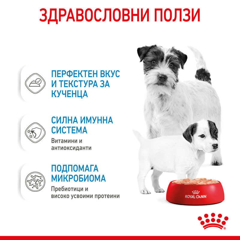 ROYAL CANIN® Starter Mother & Babydog Canned Food – Консерва за бременни и кърмещи майки и кученца 10