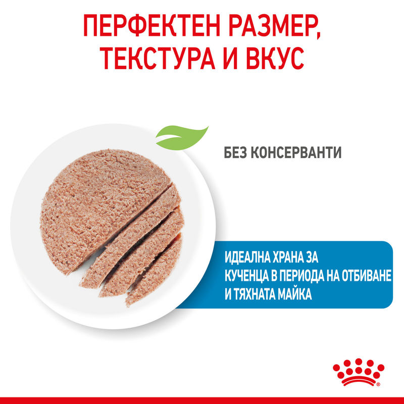 ROYAL CANIN® Starter Mother & Babydog Canned Food – Консерва за бременни и кърмещи майки и кученца 5