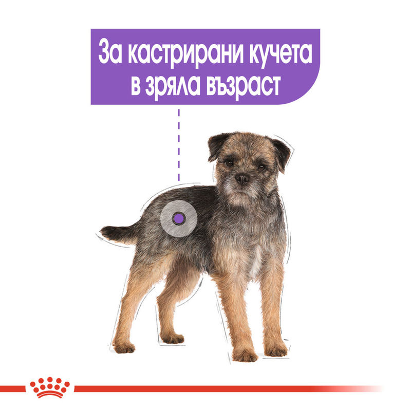 ROYAL CANIN® Sterilised Loaf Pouch – Пастет за кастрирани кучета 5