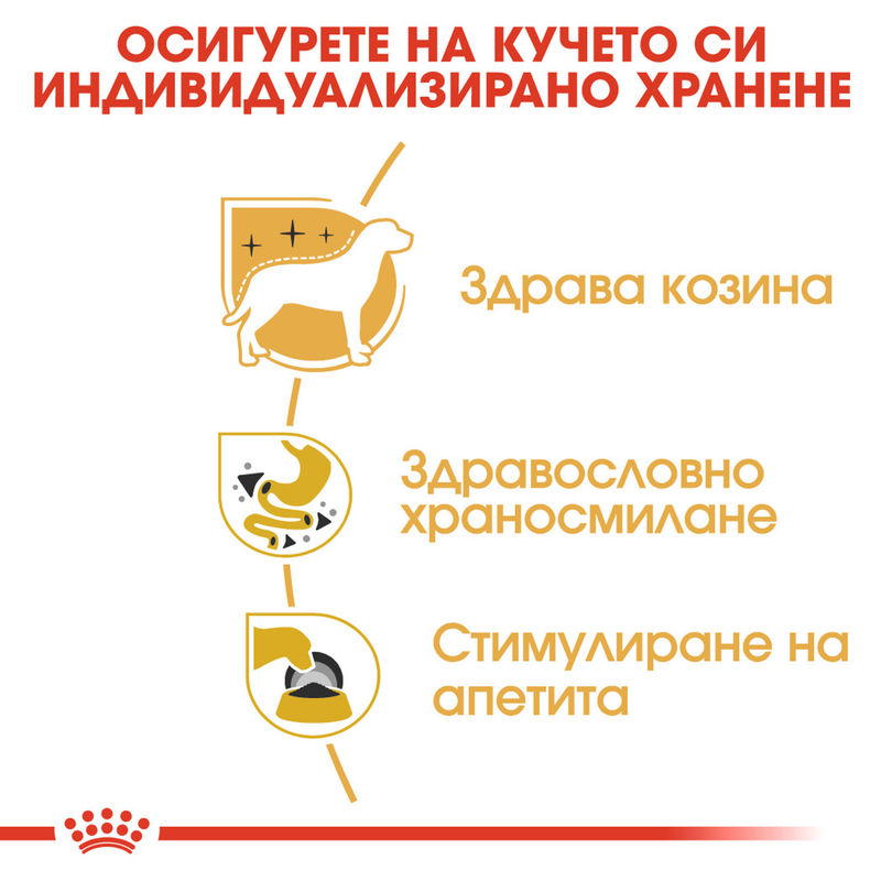 ROYAL CANIN® Chihuahua Pouch 12x85g – Пастет за кучета порода чихуахуа 4