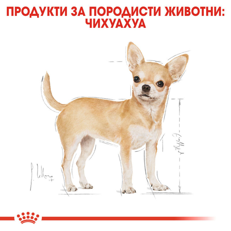 ROYAL CANIN® Chihuahua Pouch 12x85g – Пастет за кучета порода чихуахуа 5