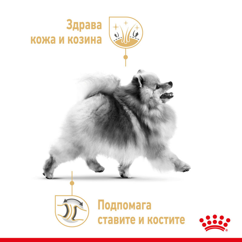 ROYAL CANIN® BHN Pomeranian Pouch 12x85g – Пастет за кучета порода померанец 3