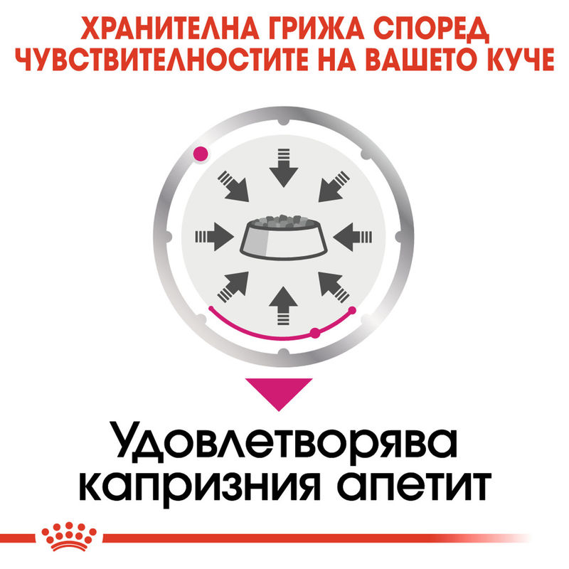 ROYAL CANIN® Exigent Loaf – Пастет за кучета с изтънчени вкусове 2