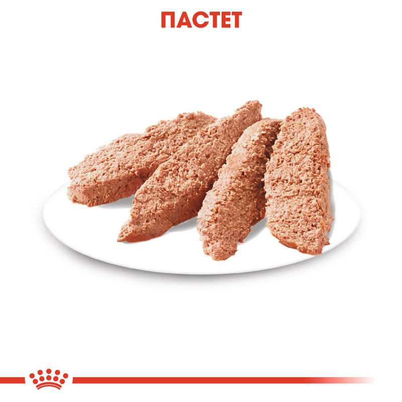 ROYAL CANIN® Exigent Loaf – Пастет за кучета с изтънчени вкусове 5