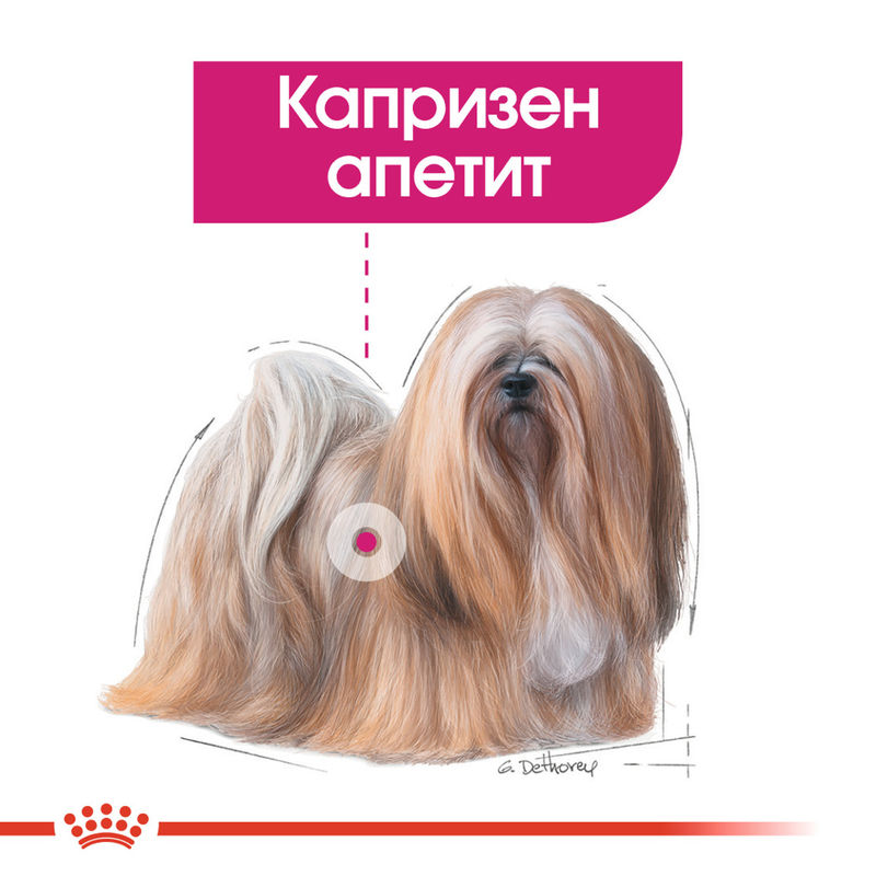 ROYAL CANIN® Exigent Loaf – Пастет за кучета с изтънчени вкусове 3