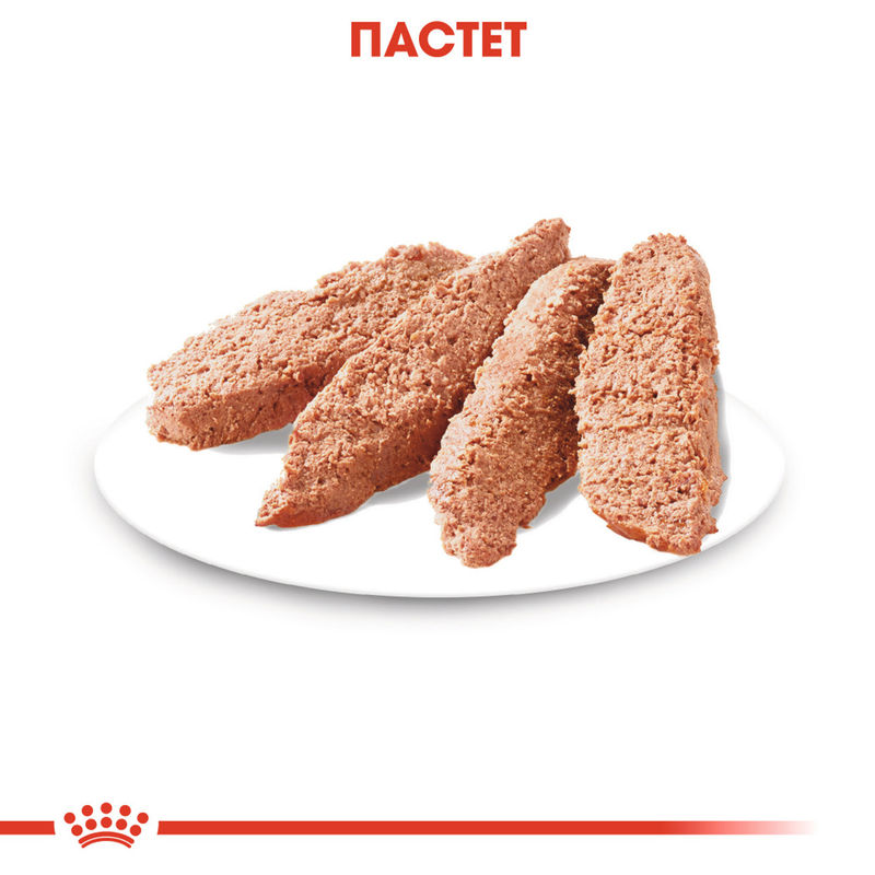 ROYAL CANIN® Urinary Loaf – Пастет за кучета с проблеми с пикочните пътища 6