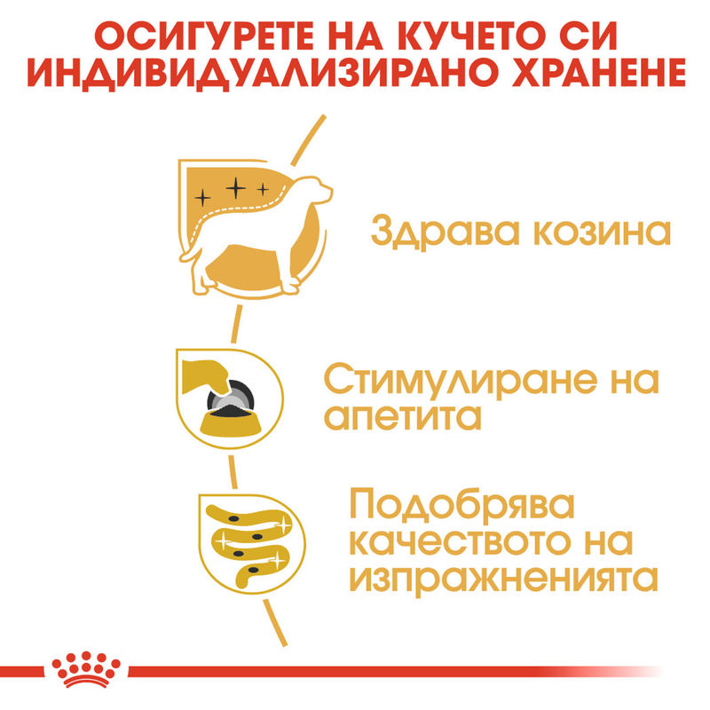 ROYAL CANIN® Yorkshire Terrier Pouch – Храна за кучета порода йоркширски териер 5