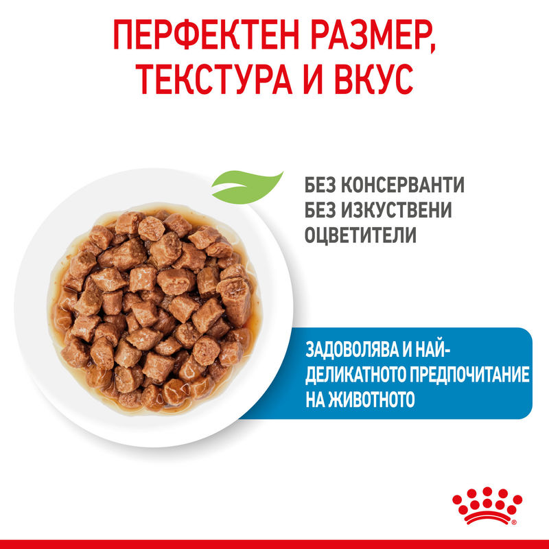 ROYAL CANIN® X-Small Puppy Pouch – Храна за кученца миниатюрни породи 3