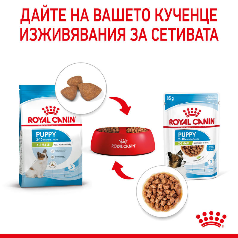ROYAL CANIN® X-Small Puppy Pouch – Храна за кученца миниатюрни породи 6