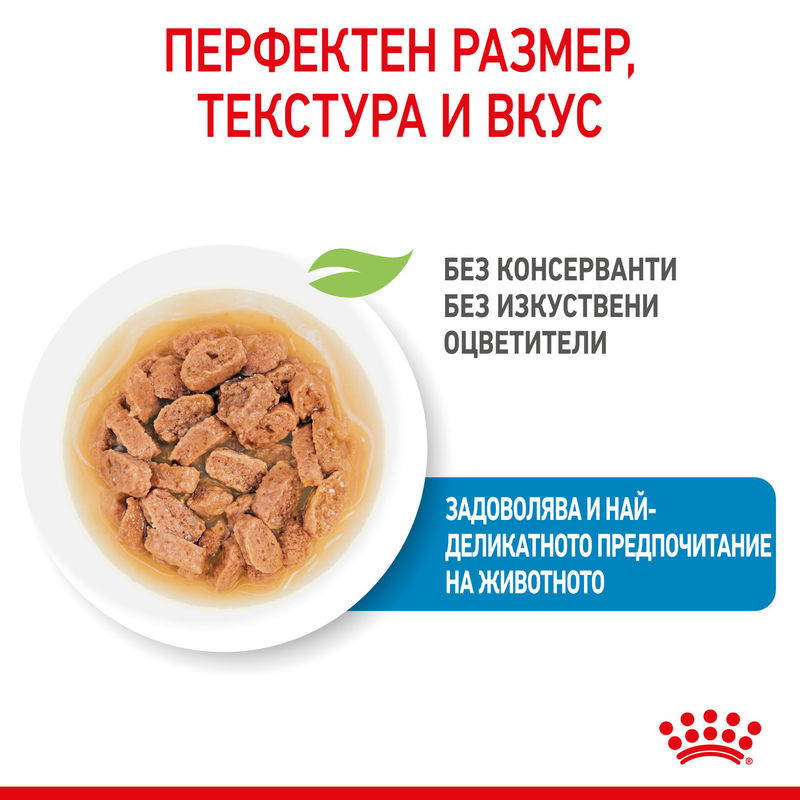 ROYAL CANIN® Mini Puppy Pouch – Храна за кученца малки породи 5