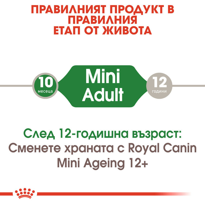 ROYAL CANIN® Mini Adult Pouch 12x85g – Храна за възрастни кучета малки породи 2