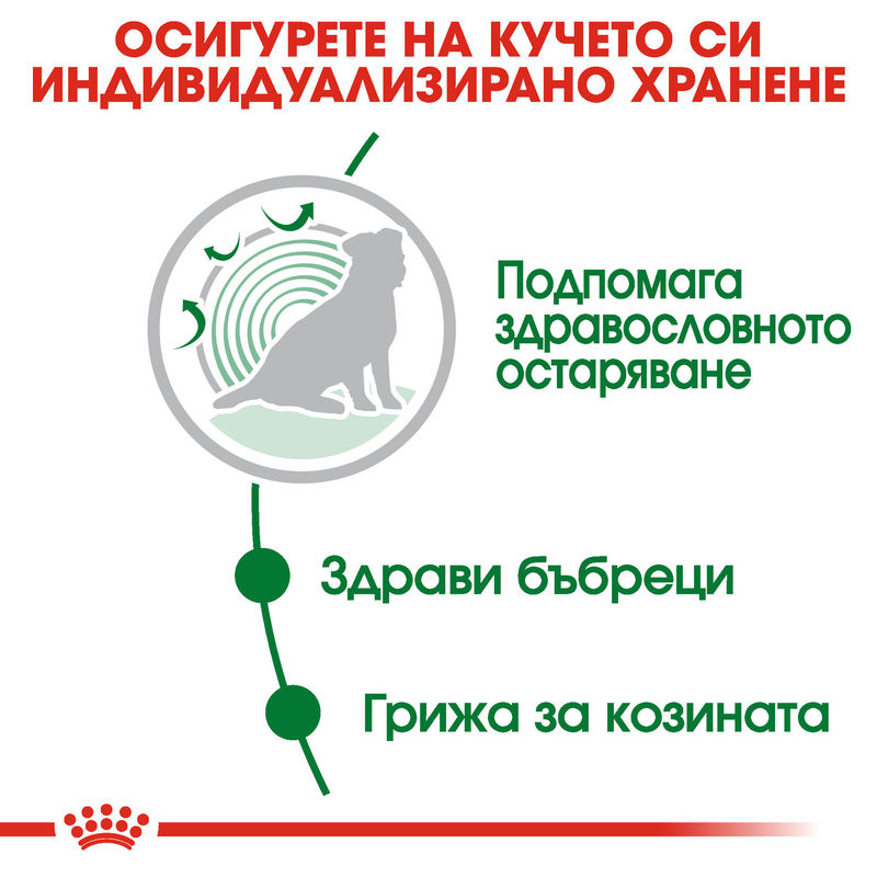 ROYAL CANIN® Mini Ageing Pouch 12x85g – Храна за възрастни кучета малки породи 8