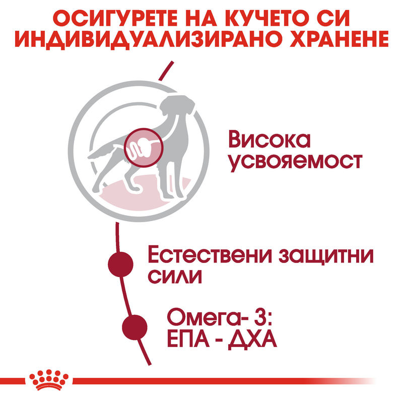 ROYAL CANIN® Medium Adult Pouch 10x140g – Храна за възрастни кучета от средни породи 7