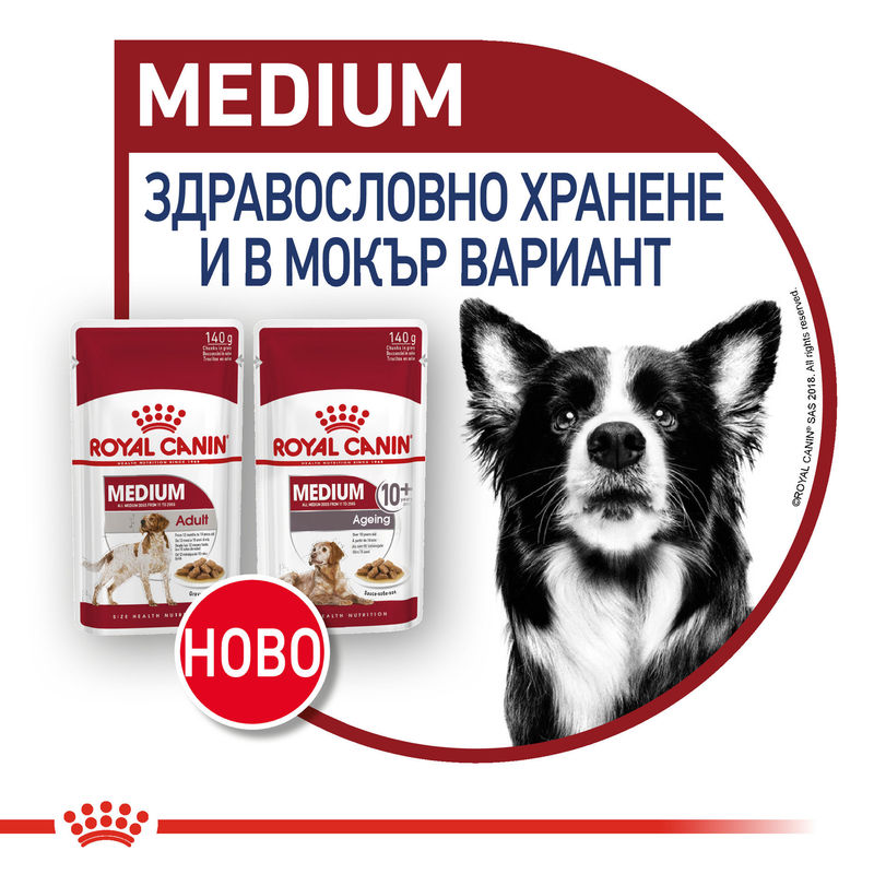 ROYAL CANIN® Medium Adult Pouch 10x140g – Храна за възрастни кучета от средни породи