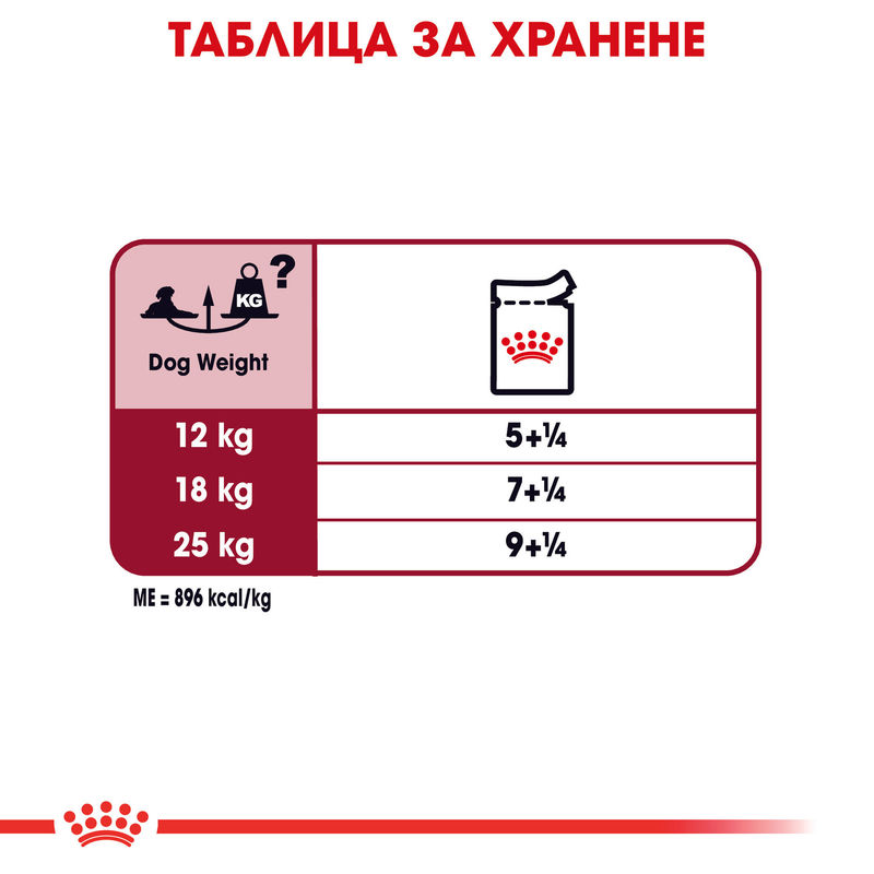 ROYAL CANIN® Medium Ageing Pouch 10x140g - Храна за по-възрастни кучета от средни породи 2