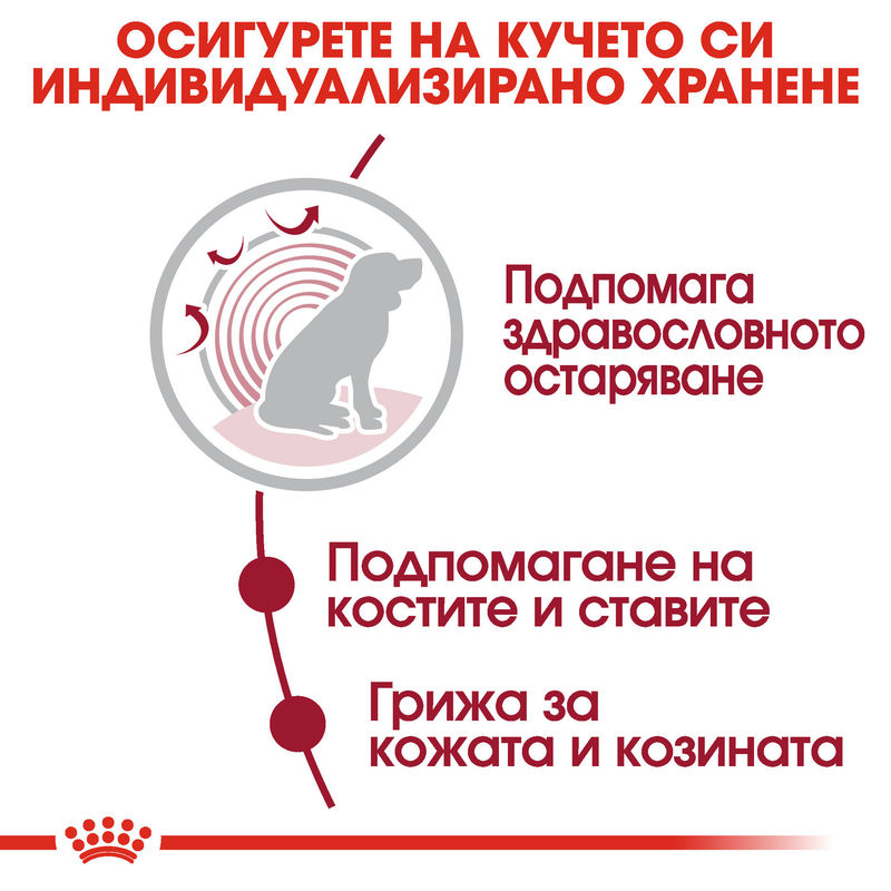 ROYAL CANIN® Medium Ageing Pouch 10x140g - Храна за по-възрастни кучета от средни породи 3