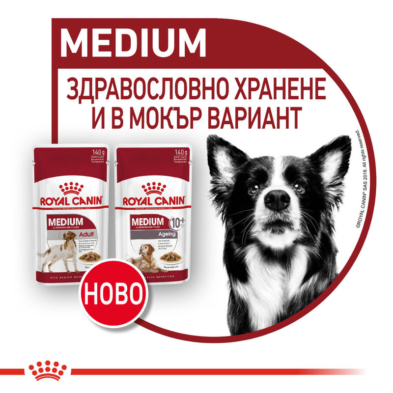 ROYAL CANIN® Medium Ageing Pouch 10x140g - Храна за по-възрастни кучета от средни породи