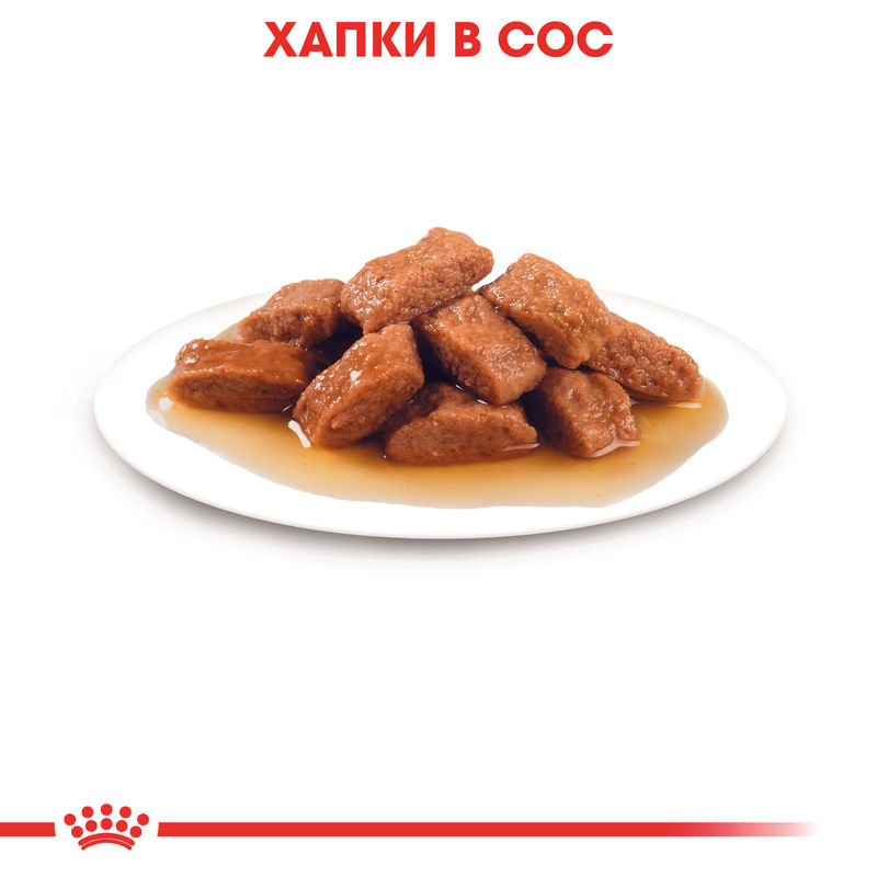 ROYAL CANIN® Medium Ageing Pouch 10x140g - Храна за по-възрастни кучета от средни породи 5