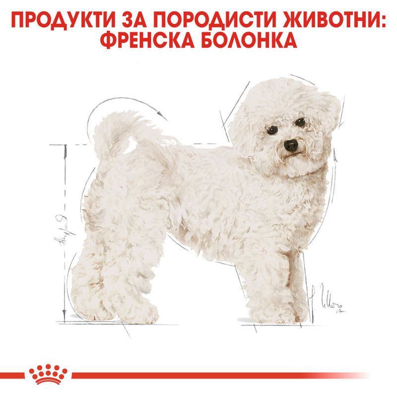ROYAL CANIN® Bichon Frise Adult - Храна за възрастни кучета от порода бишон фризе 6