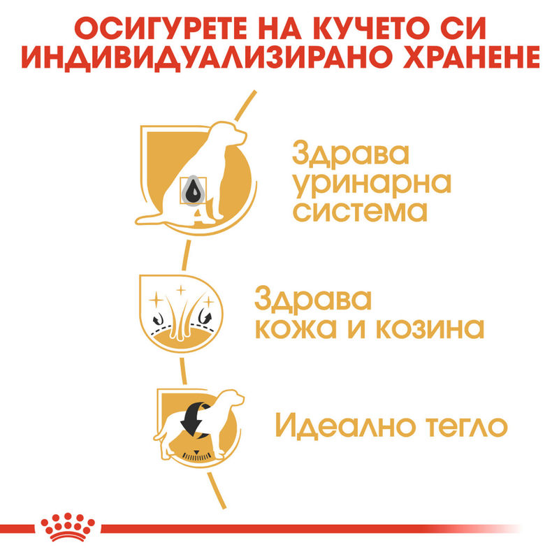 ROYAL CANIN® Bichon Frise Adult - Храна за възрастни кучета от порода бишон фризе 5