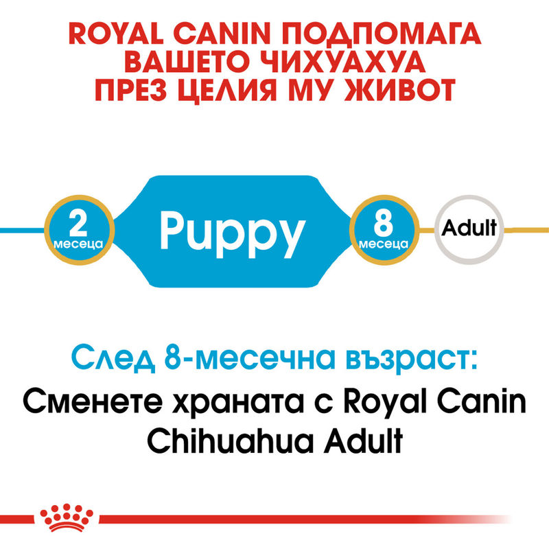 ROYAL CANIN® Chihuahua Puppy - Храна за кученца от порода чихуахуа 4