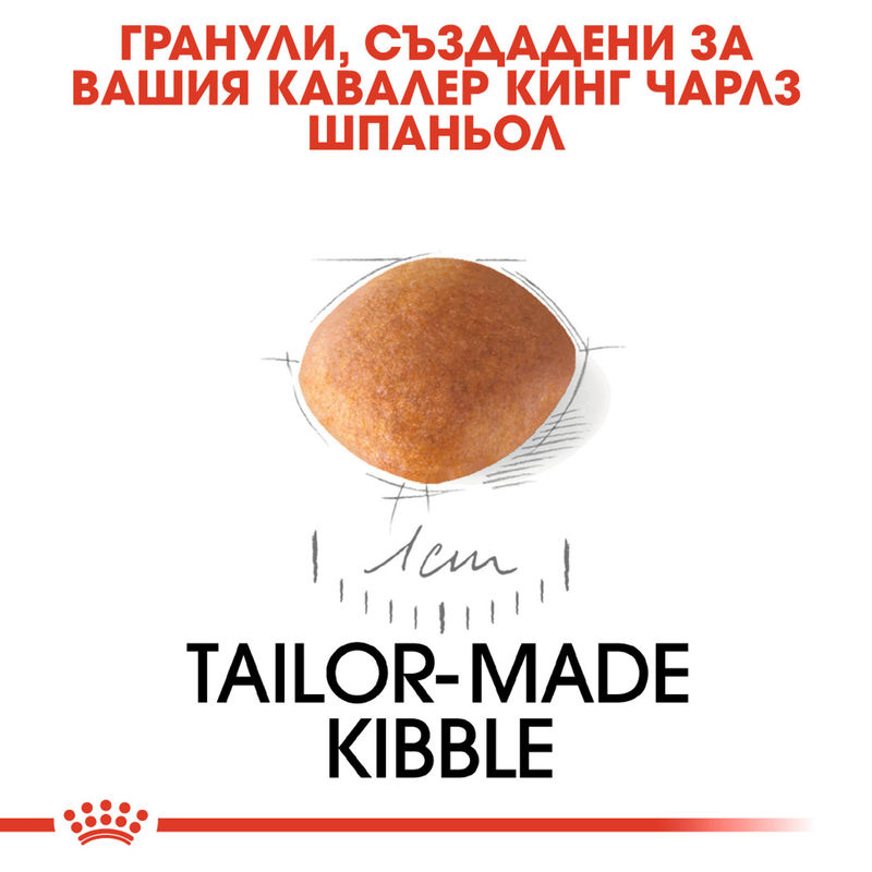 ROYAL CANIN® Cavalier King Charles Puppy - Храна за кученца от порода кавалер кинг чарлс 4
