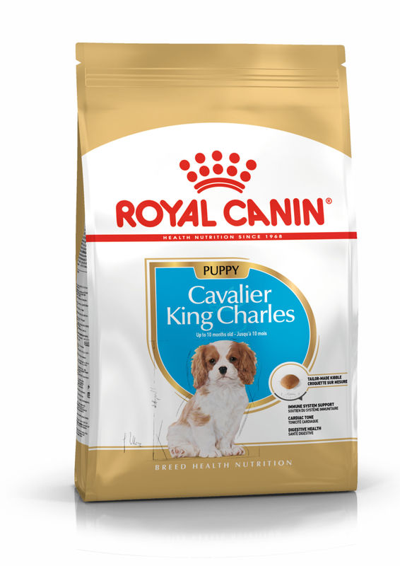 ROYAL CANIN® Cavalier King Charles Puppy - Храна за кученца от порода кавалер кинг чарлс