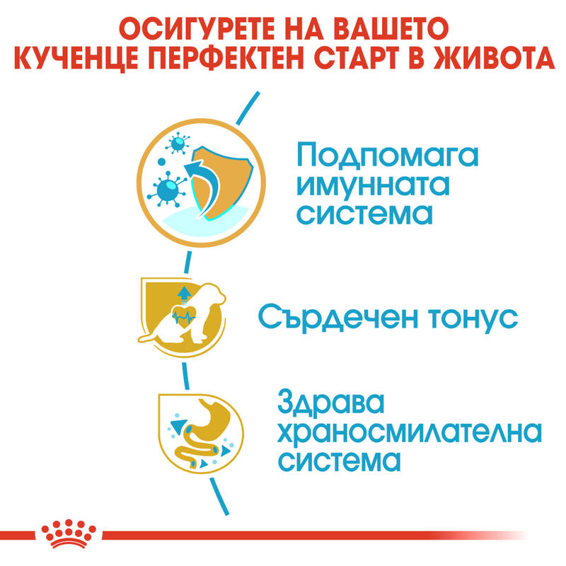 ROYAL CANIN® Cavalier King Charles Puppy - Храна за кученца от порода кавалер кинг чарлс 5