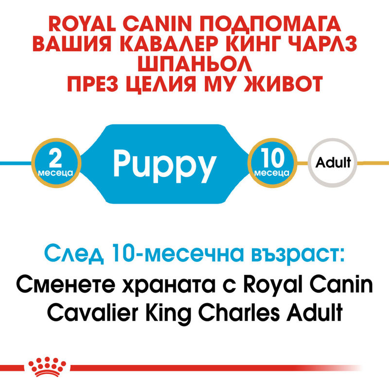 ROYAL CANIN® Cavalier King Charles Puppy - Храна за кученца от порода кавалер кинг чарлс 3