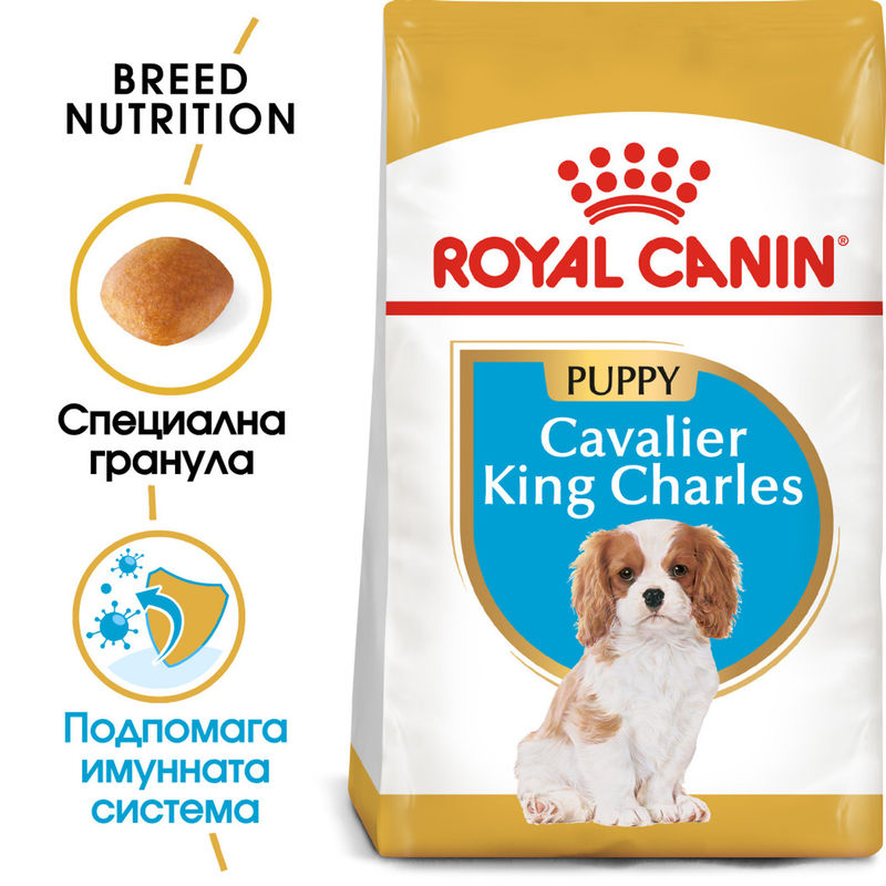 ROYAL CANIN® Cavalier King Charles Puppy - Храна за кученца от порода кавалер кинг чарлс 8