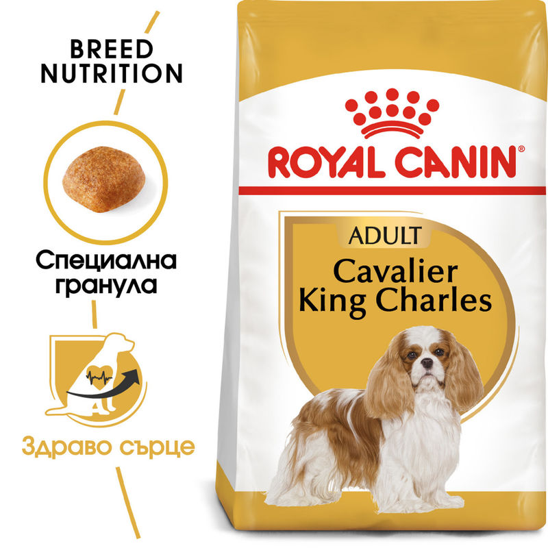 ROYAL CANIN® BHN Cavalier King Charles Adult - Храна за възрастни кучета от порода кавалер кинг чарлс 7