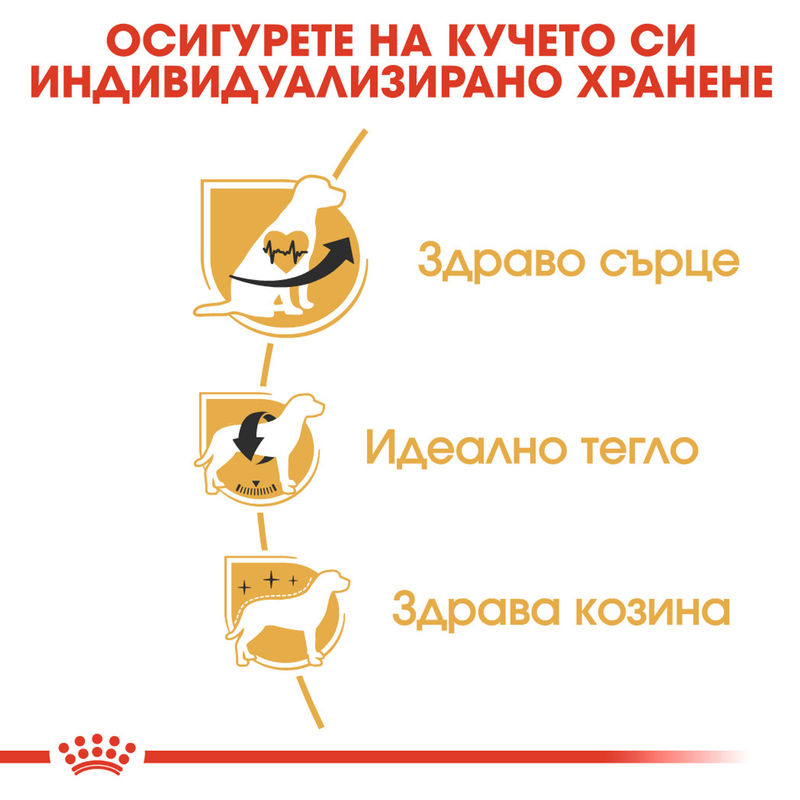 ROYAL CANIN® BHN Cavalier King Charles Adult - Храна за възрастни кучета от порода кавалер кинг чарлс 6