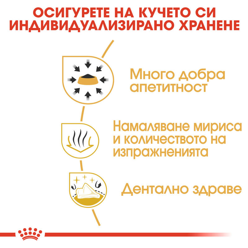 ROYAL CANIN® Chihuahua Adult - Храна за възрастни кучета от порода чихуахуа 6