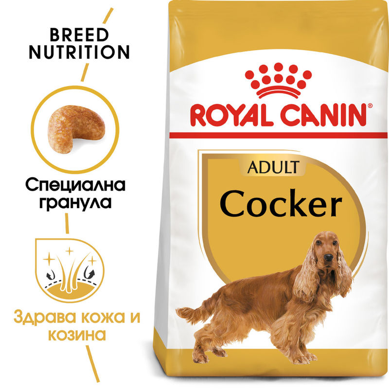 ROYAL CANIN® Cocker Adult – Пълноценна храна за кучета от порода Кокер шпаньол (над 12 месеца) 7