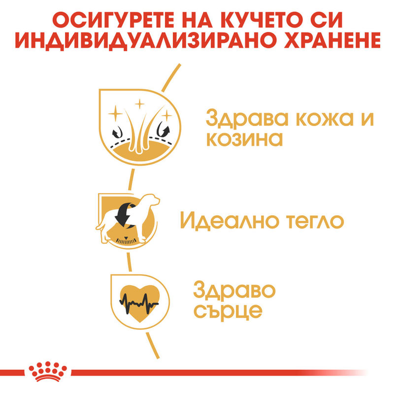 ROYAL CANIN® Cocker Adult – Пълноценна храна за кучета от порода Кокер шпаньол (над 12 месеца) 5