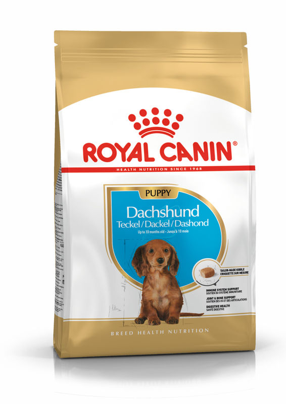 ROYAL CANIN® Dachshund Puppy – Пълноценна храна за подрастващи дакели до 10-месечна възраст