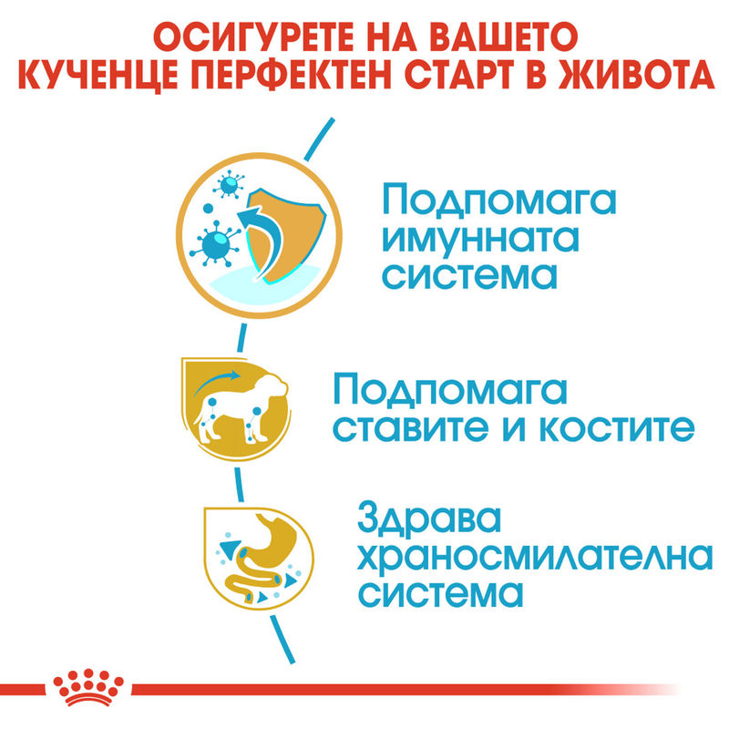 ROYAL CANIN® Dachshund Puppy – Пълноценна храна за подрастващи дакели до 10-месечна възраст 4