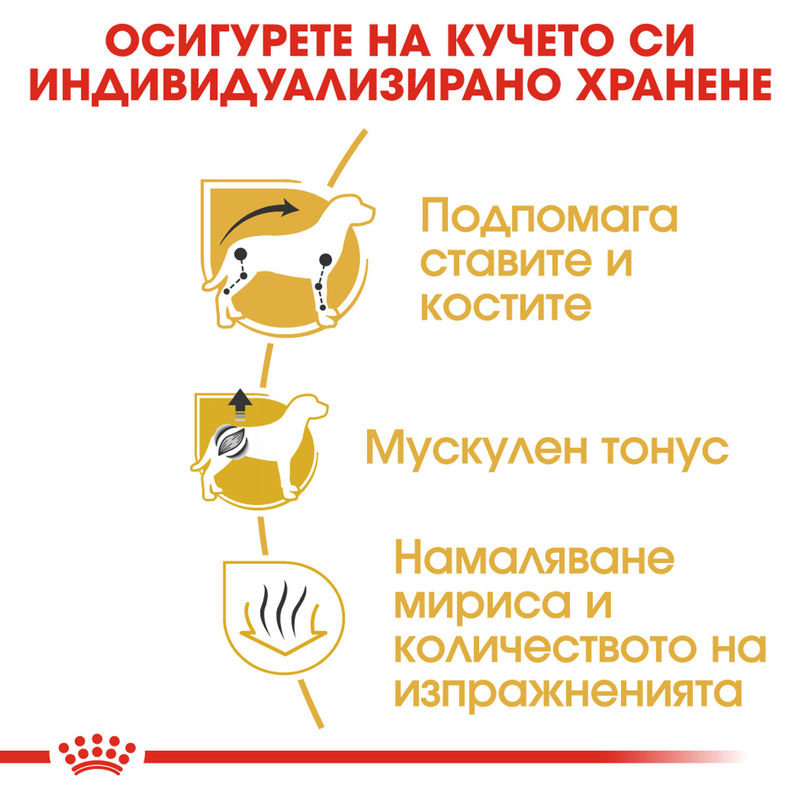 ROYAL CANIN® Dachshund Adult – Пълноценна храна, създадена специално за изискванията на пораснали дакели (над 10 месеца) 5