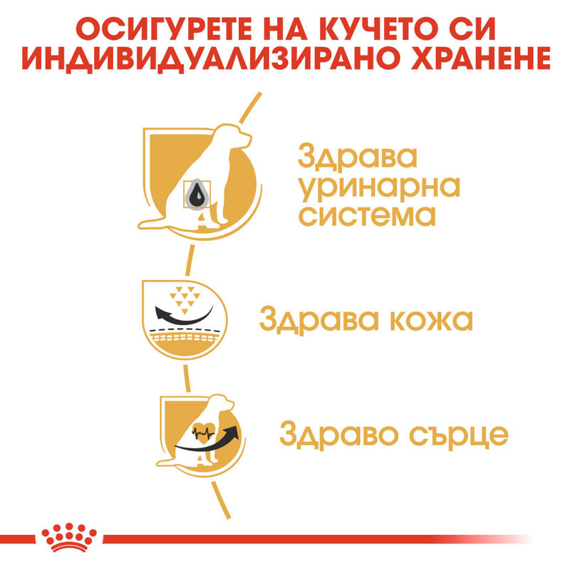 ROYAL CANIN® Dalmatian Adult – Пълноценна храна за кучета порода далматинец над 15-месечна възраст 5