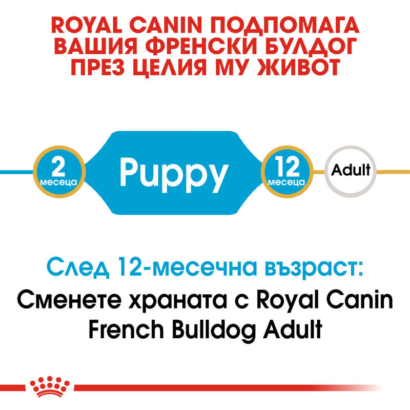 ROYAL CANIN® French Bulldog Puppy – Пълноценна храна за подрастващи кученца порода френски булдог (до 12-месечна възраст) 4