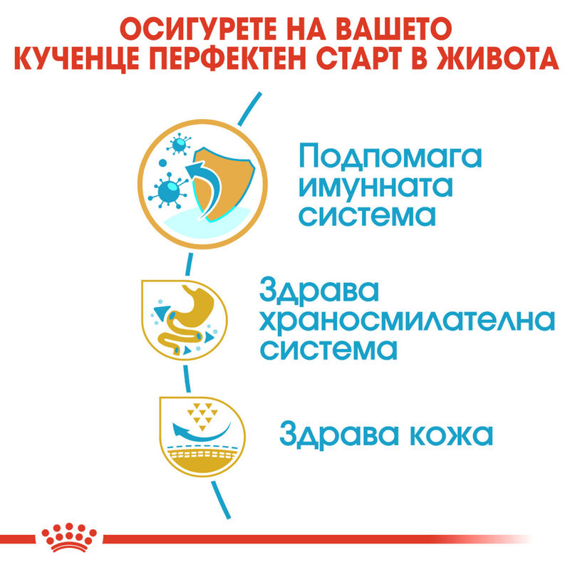 ROYAL CANIN® French Bulldog Puppy – Пълноценна храна за подрастващи кученца порода френски булдог (до 12-месечна възраст) 5