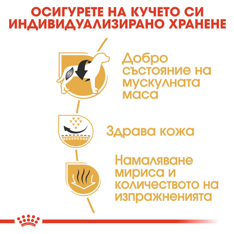 ROYAL CANIN® French Bulldog Adult – Пълноценна храна за зрели кучета порода френски булдог (над 12 месеца) 4