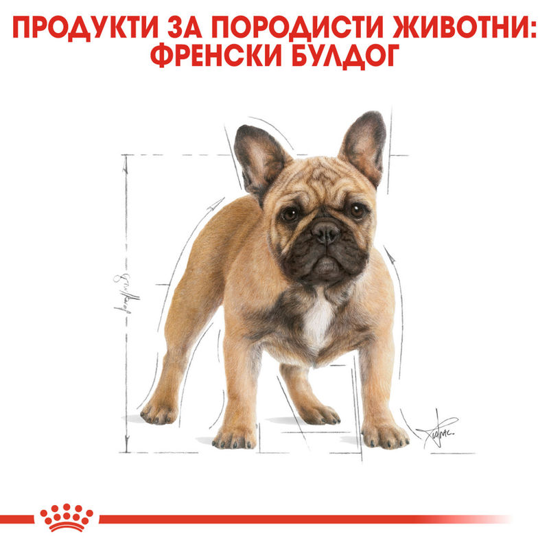 ROYAL CANIN® French Bulldog Adult – Пълноценна храна за зрели кучета порода френски булдог (над 12 месеца) 2