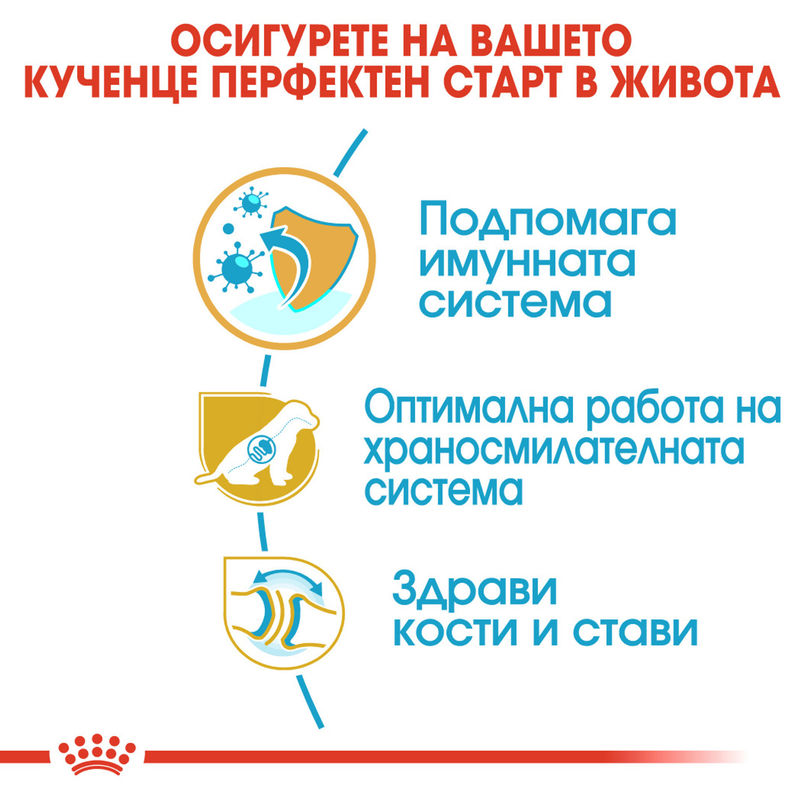 ROYAL CANIN® German Shepherd Puppy – Пълноценна храна за подрастващи кучета порода немска овчарка (до 15-месечна възраст) 5