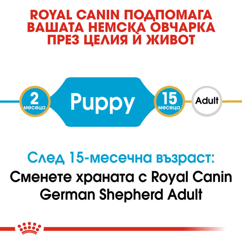 ROYAL CANIN® German Shepherd Puppy – Пълноценна храна за подрастващи кучета порода немска овчарка (до 15-месечна възраст) 4