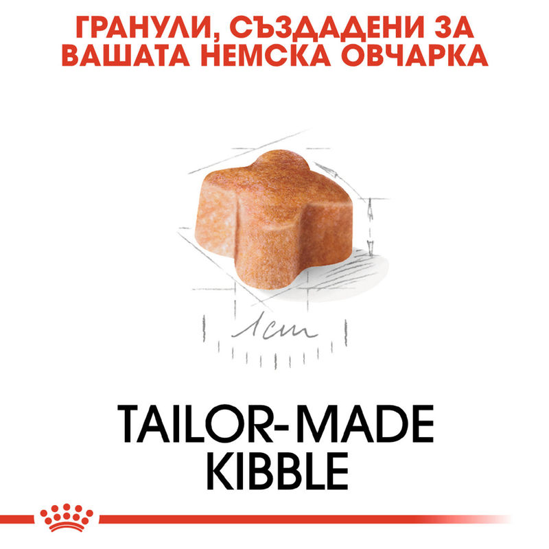 ROYAL CANIN® German Shepherd Puppy – Пълноценна храна за подрастващи кучета порода немска овчарка (до 15-месечна възраст) 2