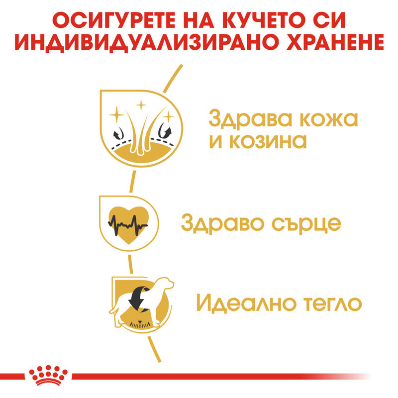 ROYAL CANIN® Golden Retriever Adult – Специализирана храна за пораснали голдън ретривъри (над 15 месеца) 5