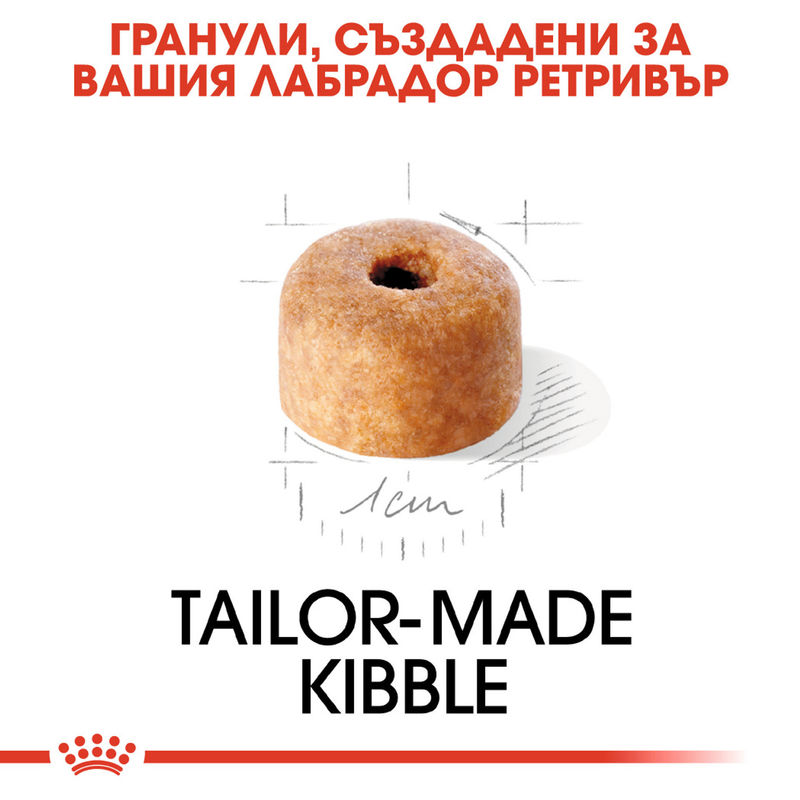 ROYAL CANIN® Labrador Puppy – Храна за кученца порода Лабрадор Ретривър 3